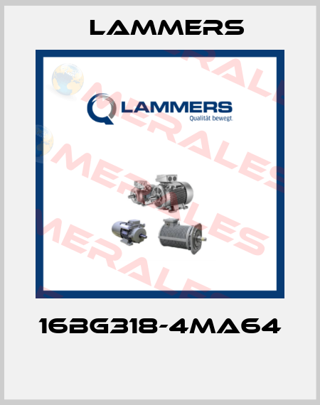 16BG318-4MA64  Lammers