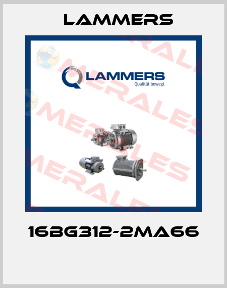 16BG312-2MA66  Lammers