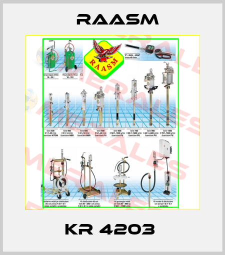 KR 4203  Raasm