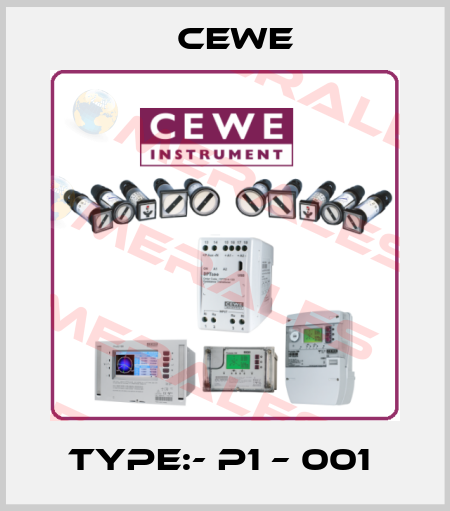 Type:- P1 – 001  Cewe