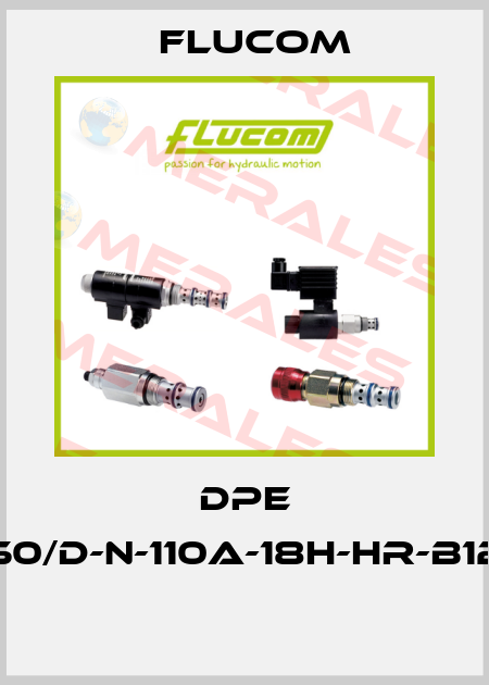 DPE 50/D-N-110A-18H-HR-B12  Flucom