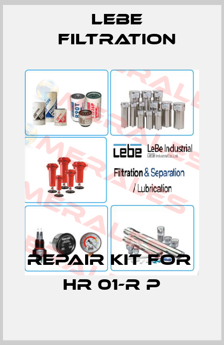 Repair kit for  HR 01-R P Lebe Filtration