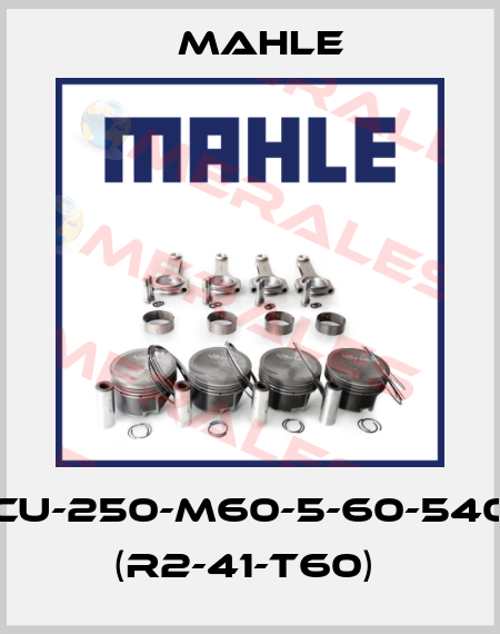 CU-250-M60-5-60-540 (R2-41-T60)  MAHLE