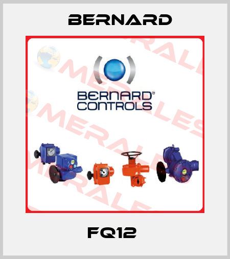 FQ12  Bernard
