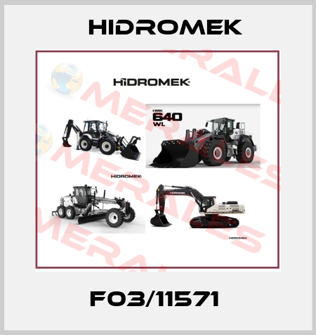 F03/11571  Hidromek