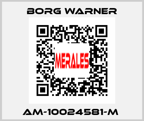AM-10024581-M  Borg Warner