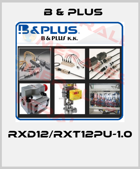RXD12/RXT12PU-1.0  B & PLUS