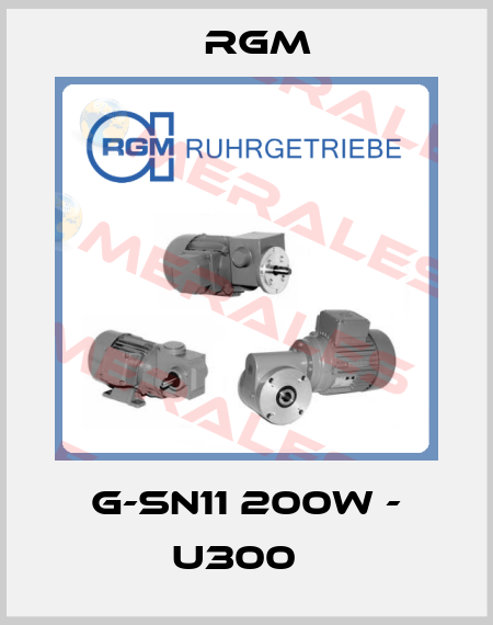 G-SN11 200W - U300   Rgm