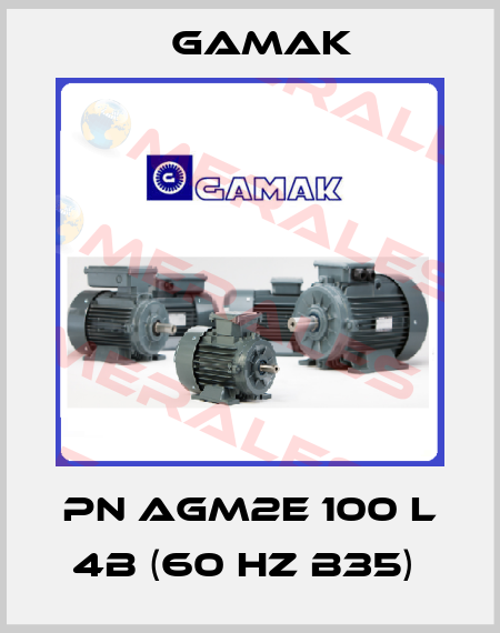 PN AGM2E 100 L 4b (60 HZ B35)  Gamak