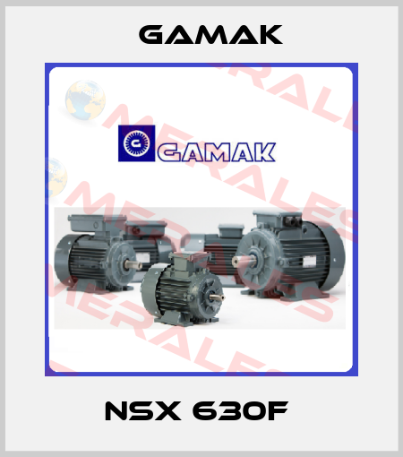 NSX 630F  Gamak