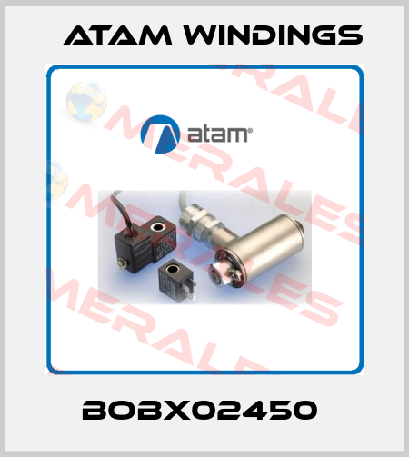 BOBX02450  Atam Windings