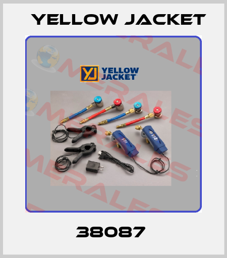 38087  Yellow Jacket