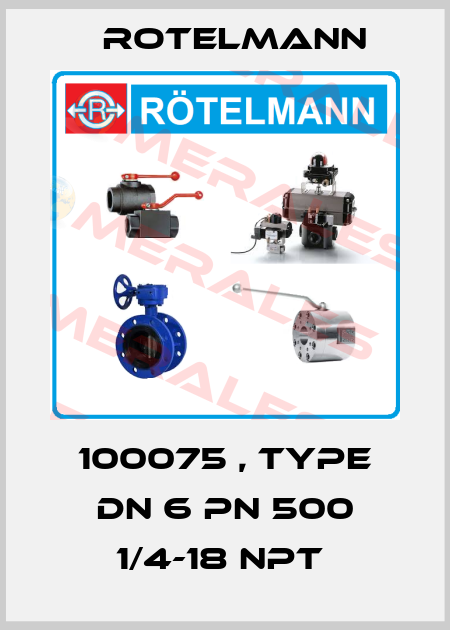 100075 , type DN 6 PN 500 1/4-18 NPT  Rotelmann