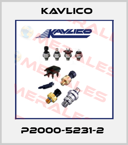 P2000-5231-2  Kavlico