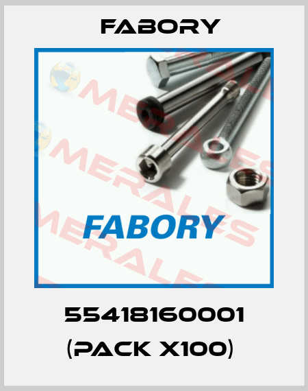 55418160001 (pack x100)  Fabory