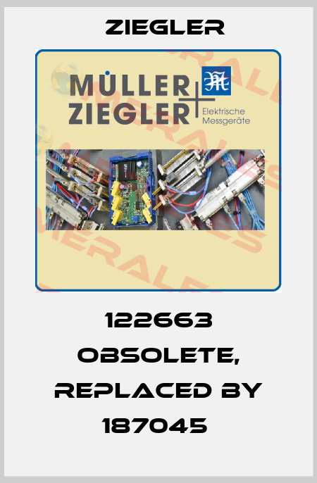 122663 obsolete, replaced by 187045  Ziegler