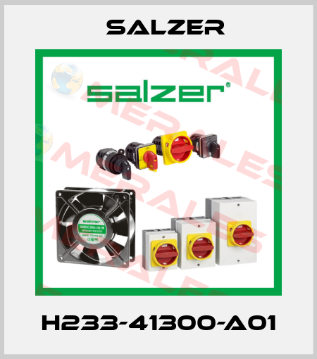 H233-41300-A01 Salzer