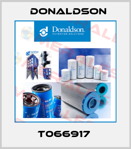 T066917  Donaldson