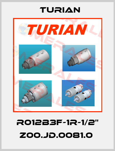 R012B3F-1R-1/2" Z00.JD.0081.0  Turian