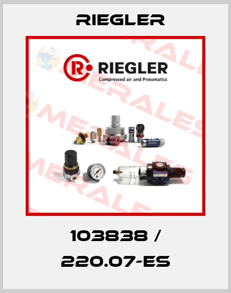 103838 / 220.07-ES Riegler