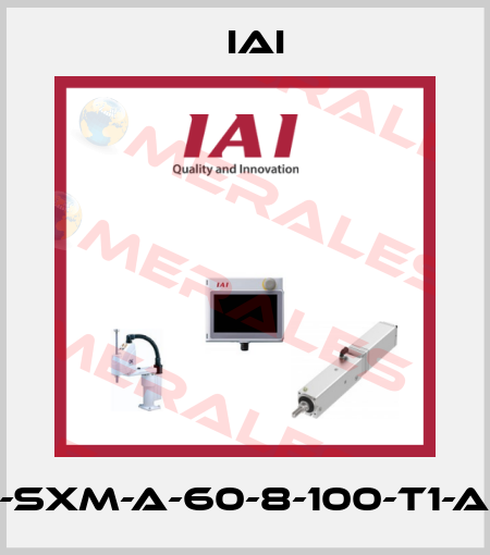 ISA-SXM-A-60-8-100-T1-AQ-B IAI