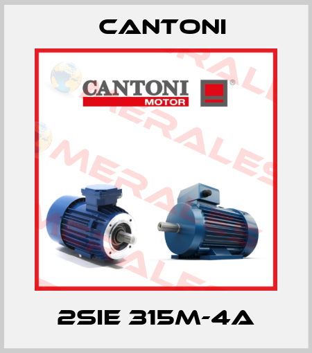 2SIE 315M-4A Cantoni