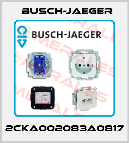 2CKA002083A0817 Busch-Jaeger