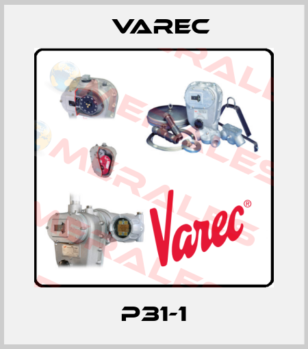 P31-1 Varec