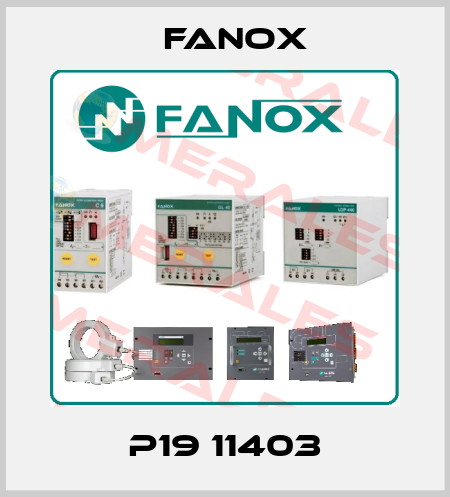 P19 11403 Fanox