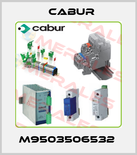 M9503506532  Cabur