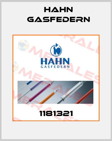 1181321 Hahn Gasfedern