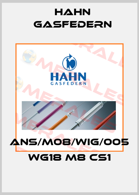 ANS/M08/WIG/005                 WG18 M8 CS1 Hahn Gasfedern
