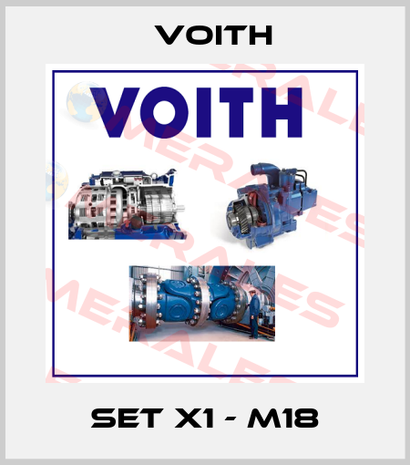 Set X1 - M18 Voith