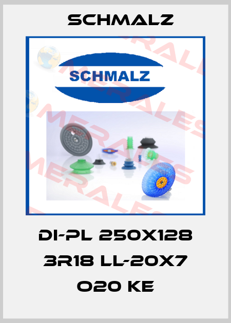 DI-PL 250x128 3R18 LL-20x7 O20 KE Schmalz