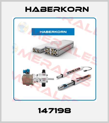 147198 Haberkorn