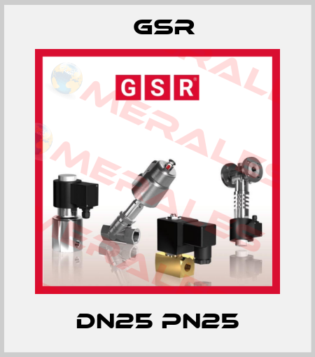 DN25 PN25 GSR