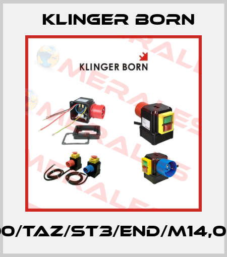 K700/TAZ/ST3/END/M14,0A/P Klinger Born