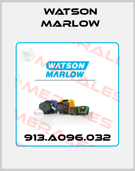 913.A096.032 Watson Marlow