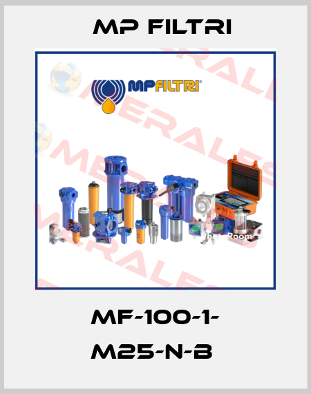 MF-100-1- M25-N-B  MP Filtri
