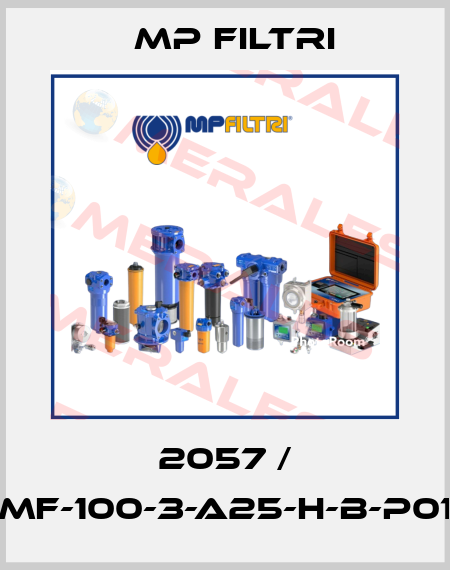 2057 / MF-100-3-A25-H-B-P01 MP Filtri