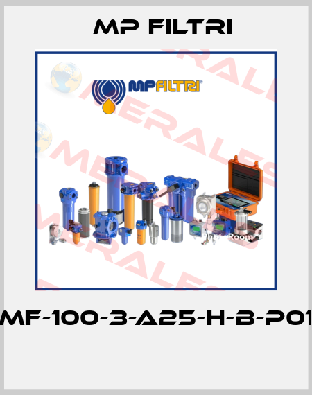 MF-100-3-A25-H-B-P01  MP Filtri
