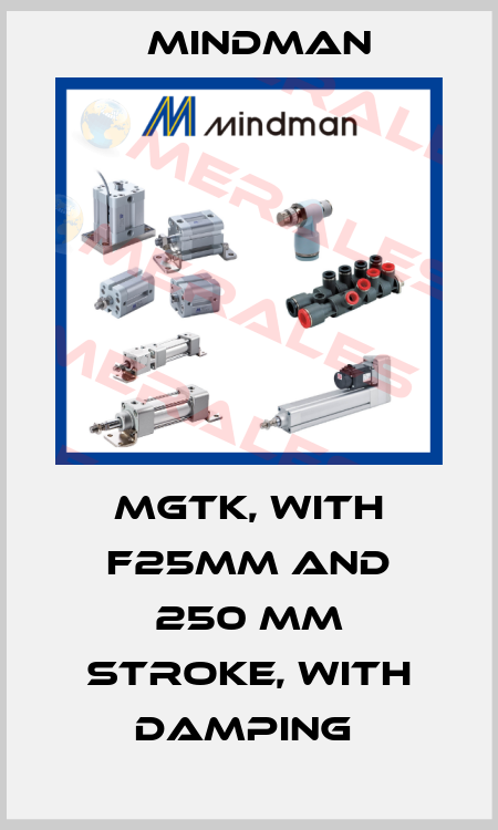 MGTK, WITH F25MM AND 250 MM STROKE, WITH DAMPING  Mindman