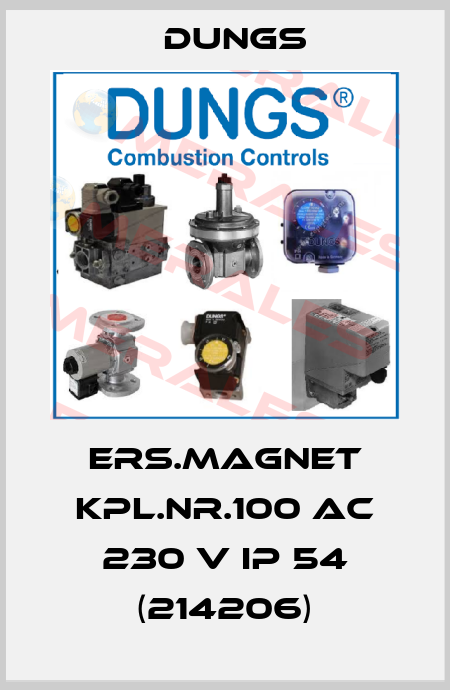 Ers.Magnet kpl.Nr.100 AC 230 V IP 54 (214206) Dungs