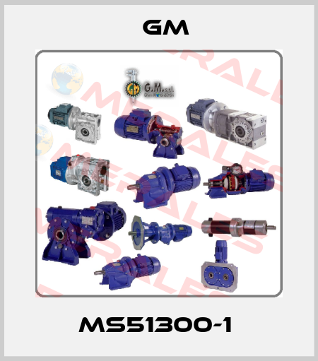 MS51300-1  GM