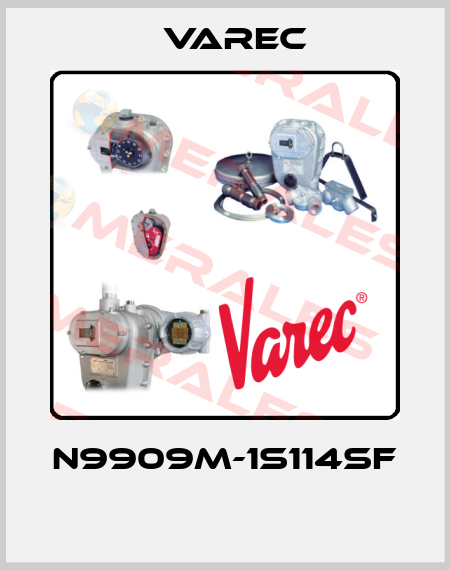 N9909M-1S114SF  Varec