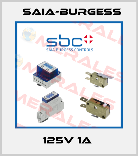 125V 1A  Saia-Burgess