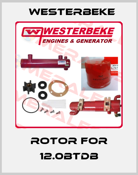 Rotor for 12.0BTDB Westerbeke