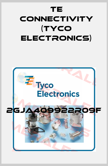 2GJA409922R09F TE Connectivity (Tyco Electronics)