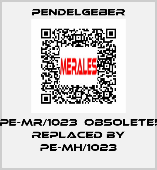 PE-MR/1023  Obsolete! Replaced by PE-MH/1023 Pendelgeber