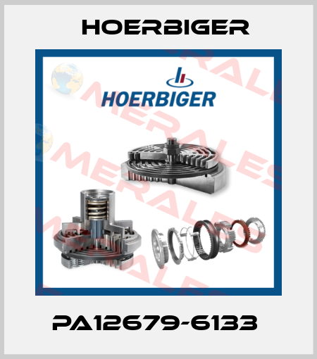 PA12679-6133  Hoerbiger